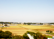 病院周辺の田園風景